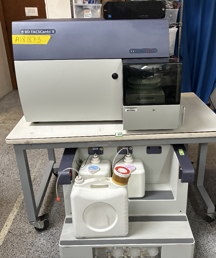 Image of BD FACSCanto II Flow Cytometer